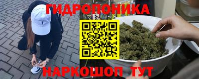 МДМА Новозыбков