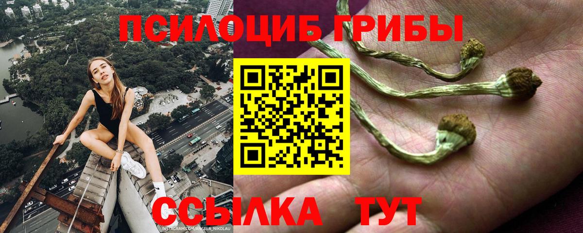 наркошоп  Галлюциногенные грибы мухоморы  Псилоцибиновые грибы ЛСД  Вход с VPN  Тихорецк 