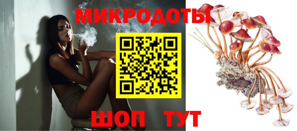 Галлюциногенные грибы Cubensis Тихорецк